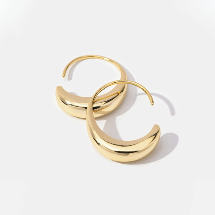 Drop-Shaped Earrings